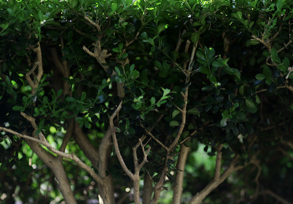 Screenshot 2025-04-30 at 11.54.55 AM